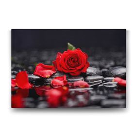 Tabloshop Kırmızı Gül ve Yaprakları 140x100 cm Tablo