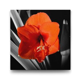 Tabloshop Kırmızı Soyut Çiçek 100x100 cm Tablo