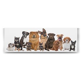 Tabloshop Köpek Irkları 180x60 cm Tablo
