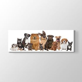 Tabloshop Köpek Irkları 180x60 cm Tablo