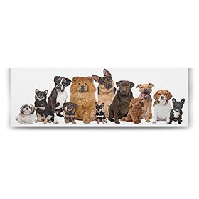 Tabloshop Köpek Irkları 180x60 cm Tablo