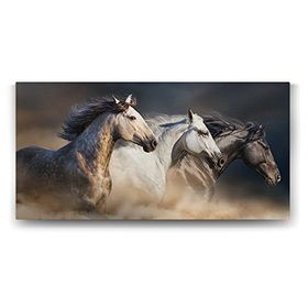 Tabloshop Koşan Arap Atları 160x80 cm Tablo