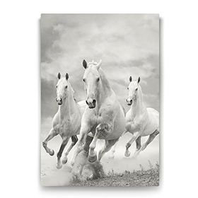 Tabloshop Koşan Beyaz At 70x100 cm Tablo