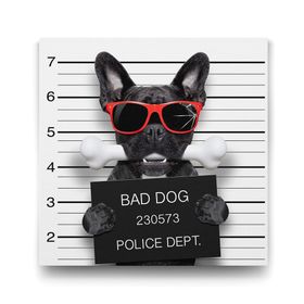 Tabloshop Kötü Köpek 70x70 cm Tablo