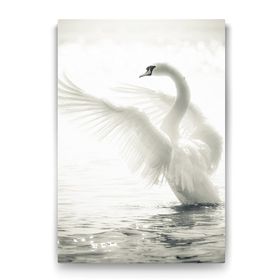 Tabloshop Kuğu 60x90 cm Tablo