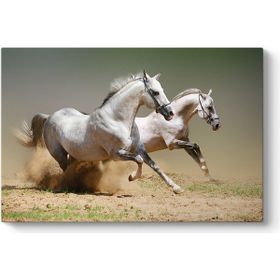 Tabloshop Kumda Koşan Beyaz Atlar 125x80 cm Tablo