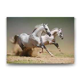 Tabloshop Kumda Koşan Beyaz Atlar 75x50 cm Tablo