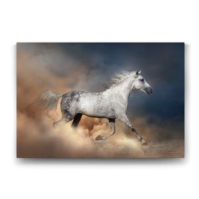 Tabloshop Kumda Koşan Gri At 125x80 cm Tablo