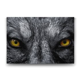 Tabloshop Kurt Gözleri 125x80 cm Tablo