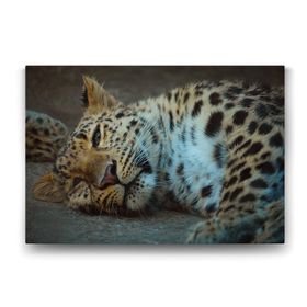 Tabloshop Leopar 100x70 cm Tablo