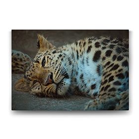 Tabloshop Leopar 45x30 cm Tablo