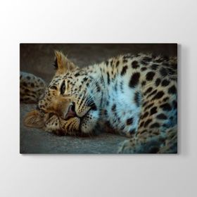 Tabloshop Leopar 90x60 cm Tablo