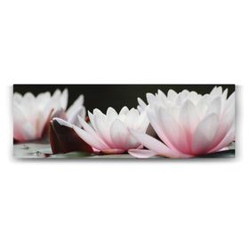 Tabloshop Lotus Panorama 120x40 cm Tablo