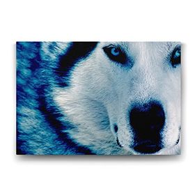 Tabloshop Mavi Kurt 125x80 cm Tablo
