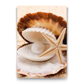 Tabloshop Midye ve İnci 40x60 cm Tablo