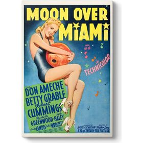 Tabloshop Moon Over Miami 40x60 cm Tablo