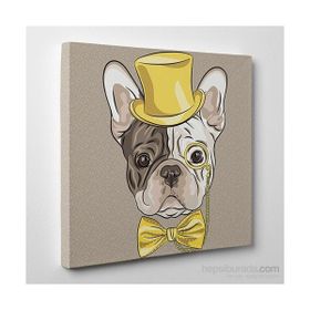 Tabloshop Mr. French Bulldog 60x60 cm Tablo