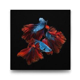 Tabloshop Neon Balıklar 50x50 cm Tablo