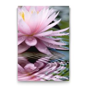 Tabloshop Nilüfer Çiçeği 50x75 cm Tablo