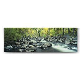 Tabloshop Orman Ağaçları 150x50 cm Tablo