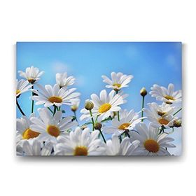 Tabloshop Papatya 60x40 cm Tablo