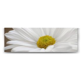 Tabloshop Papatya Çiçeği 180x60 cm Tablo