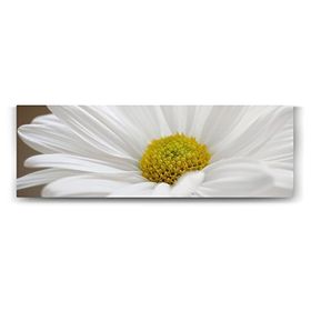 Tabloshop Papatya Çiçeği 180x60 cm Tablo