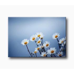 Tabloshop Papatyalar Kanvas Tablo