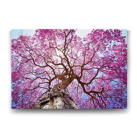 Tabloshop Pembe Lapaku Ağacı 140x100 cm Tablo