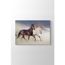 Tabloshop Rahvan At 45x30 cm Tablo