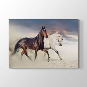 Tabloshop Rahvan At 75x50 cm Tablo