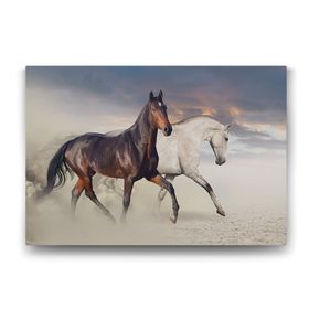 Tabloshop Rahvan At 75x50 cm Tablo
