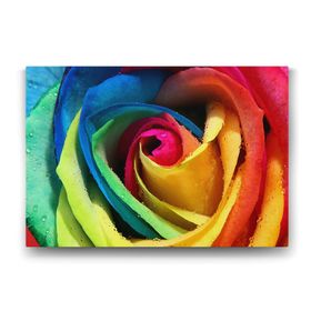 Tabloshop Rengarenk Gül 75x50 cm Tablo