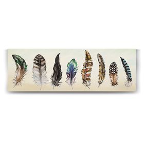 Tabloshop Renkli Tüy Koleksiyonu 150x50 cm Tablo