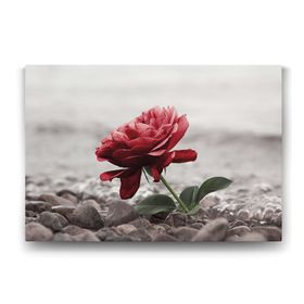 Tabloshop Sahilde Kırmızı Gül 45x30 cm Tablo