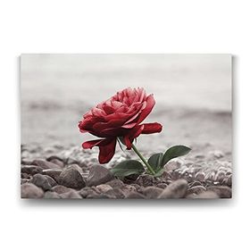 Tabloshop Sahilde Kırmızı Gül 45x30 cm Tablo