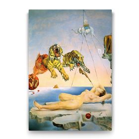 Tabloshop Salvador Dali Dream Caused 40x60 cm Tablo