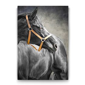 Tabloshop Siyah At 50x75 cm Tablo