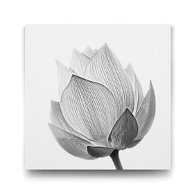 Tabloshop Siyah Beyaz Çiçek 40x40 cm Tablo