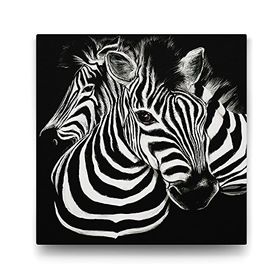 Tabloshop Siyah Beyaz Zebra 50x50 cm Tablo
