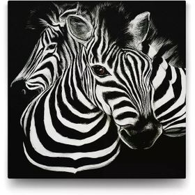 Tabloshop Siyah Beyaz Zebra 60x60 cm Tablo