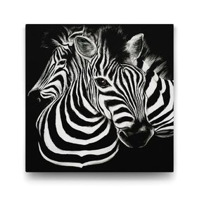 Tabloshop Siyah Beyaz Zebra 60x60 cm Tablo
