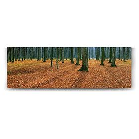 Tabloshop Sonbahar 120x40 cm Tablo