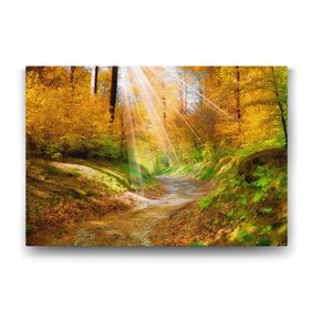 Tabloshop Sonbaharda Doğa 125x80 cm Tablo