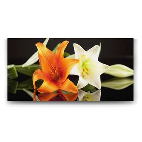 Tabloshop Süsen İris Çiçeği 160x80 cm Tablo