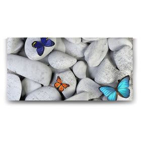 Tabloshop Taşlar ve Renkli Kelebekler 140x70 cm Tablo