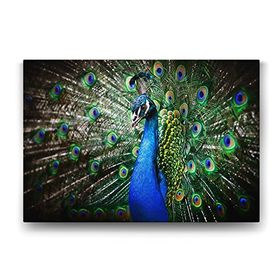 Tabloshop Tavus Kuşu 60x40 cm Tablo