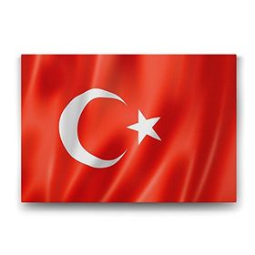 Tabloshop Türk Bayrağı 100x70 cm Tablo