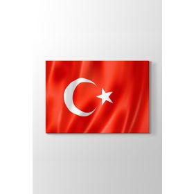 Tabloshop Türk Bayraklı Atatürk 45x30 cm Tablo
