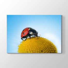 Tabloshop Uğur Böceği Polen 60x40 cm Tablo